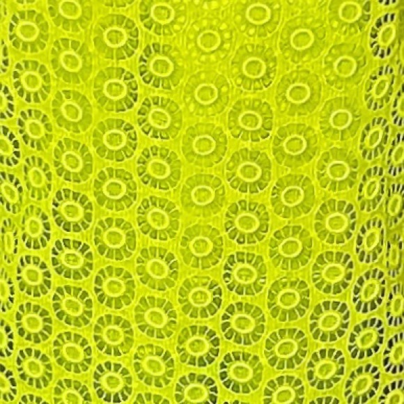 Lilly Pulitzer Dresses Lilly Pulitzer White Label Green Chartreuse